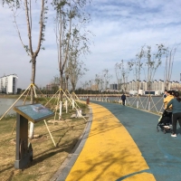 柘城容湖國家濕地公園，深秋美如畫