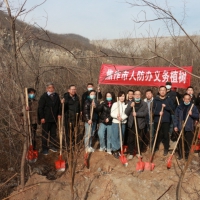 早春時節(jié)植樹忙 焦作人防開展春季義務(wù)植樹活動