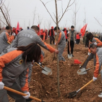 為鶴城大地增添新綠 鶴壁人防組織參加全市義務(wù)植樹活動(dòng)