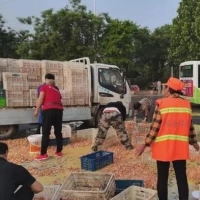 拉雞蛋貨車側(cè)翻，商丘環(huán)衛(wèi)工人和路過市民紛紛上前幫忙撿拾雞蛋