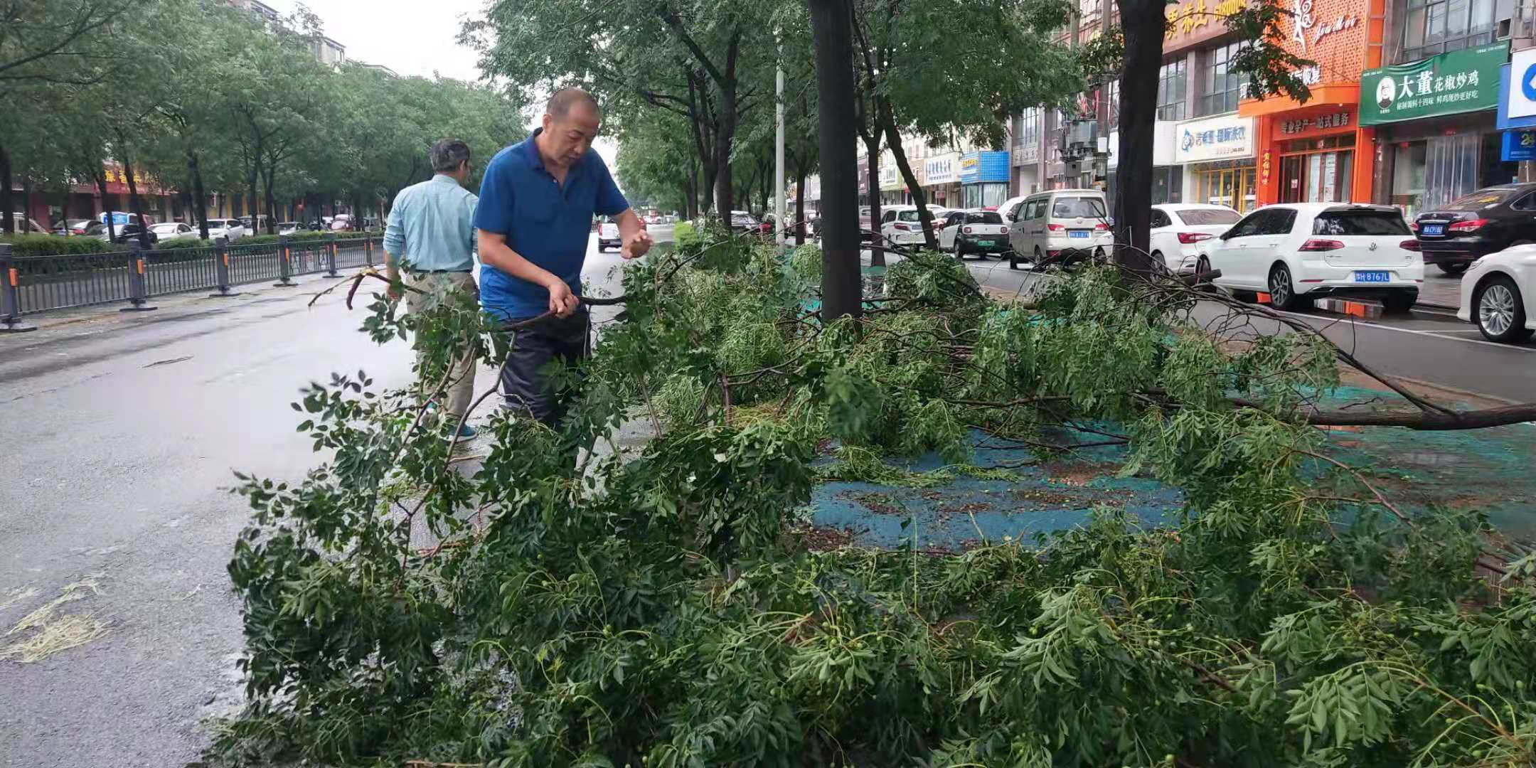 黨員突擊隊清理道路上損毀樹木.jpg