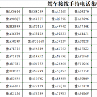 高速上駕車接撥手持電話 這84名駕駛人被曝光