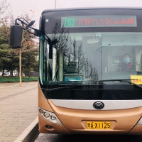 今日起鄭州公交施行掃碼乘車 黃碼不得乘車