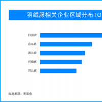 河南有羽絨服相關(guān)企業(yè)1070余家 全國(guó)排第四位