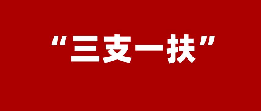 如何報考？待遇如何？2024年“三支一扶”計劃解讀