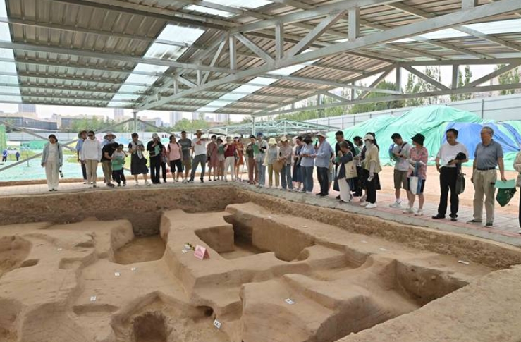 九家博物館“文博暑期課堂”免費開放！這個夏天，來博物館“清涼一夏”