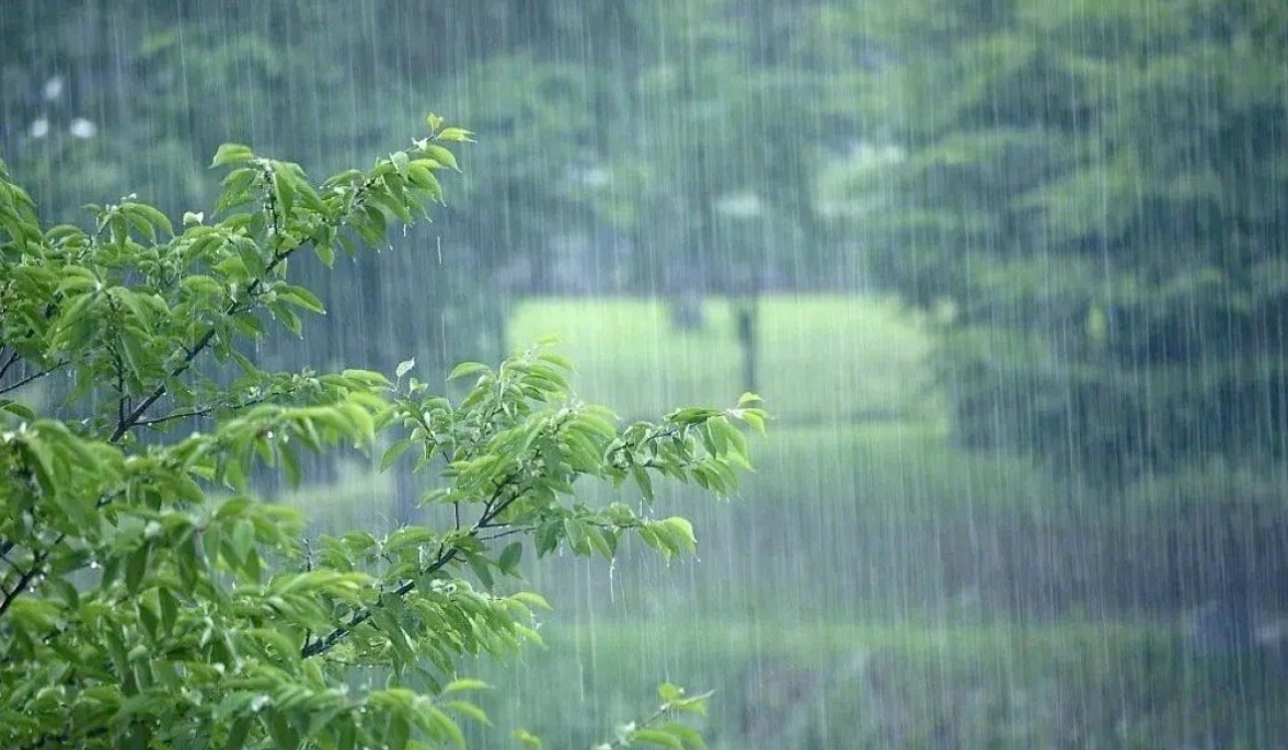 中央氣象臺發(fā)布暴雨黃色預警，河南東南部等地有大到暴雨