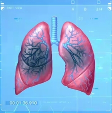 我國科學家在肺纖維化研究領域取得新突破